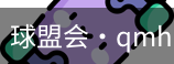 球盟会